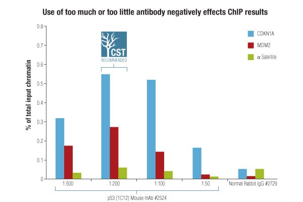CSTのChIP用検証済み抗体