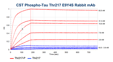 BLIデータ: CST Phospho-Tau T217 Rabbit Monoclonal Antibody