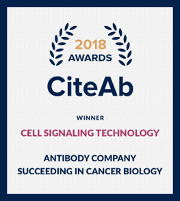 2018年Antibody Company Succeeding in Cancer Research