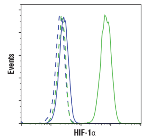 CST抗体：HIF-1α (D1S7W) XP® Rabbit mAb