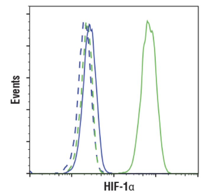 CST抗体：HIF-1α (D1S7W) XP® Rabbit mAb