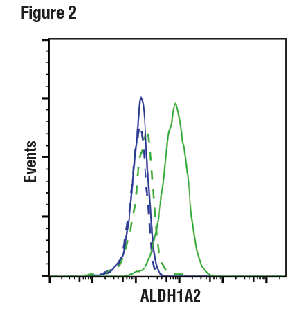 Jurkat細胞 (青色) およびK-562細胞 (緑色) のフローサイトメトリー解析