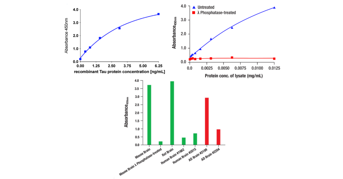 PathScan RP Phospho-Tau (Thr217) Sandwich ELISA Kit #59672の評価