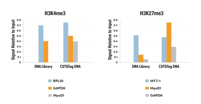 CUT&Tag DNAライブラリーはS/N比が大幅に高いqPCRデータを生成します