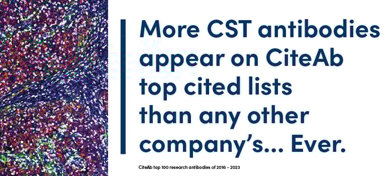 CiteAbが引用したリストには、今までにないほどの他社製品よりもCSTの抗体が多数掲載されています。