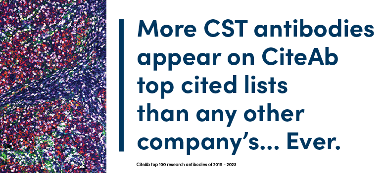 24-BRE-13891 Images & Social 2023 CiteAb Top 100 Antibodies