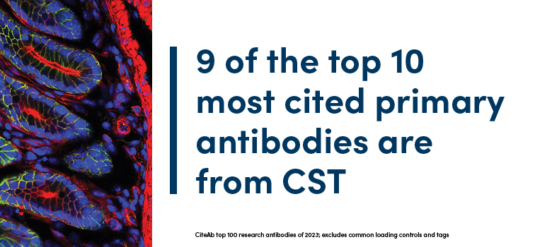 24-BRE-13891 Images & Social 2023 CiteAb Top 100 Antibodies6