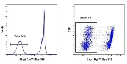 非生存マウス骨髄細胞をフローサイトメトリーで検出し、GhostDye Blue 516 Viability Dyeで標識・ゲーティングしました。