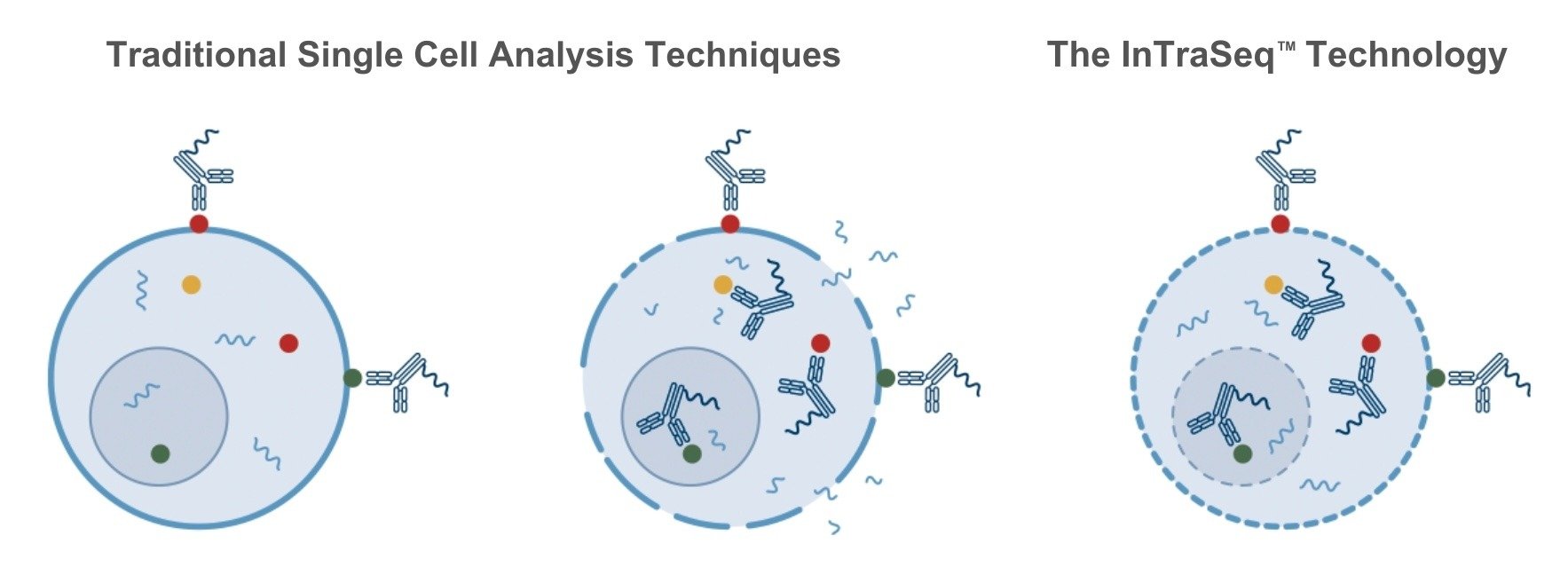 InTraSeq vs Tradditional Multimodal Assays