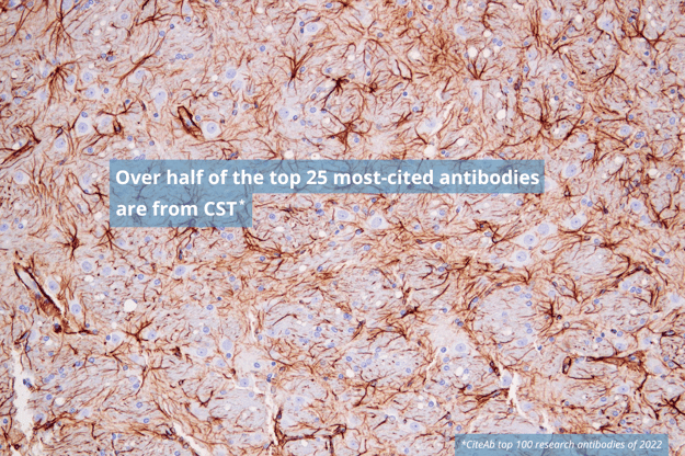 CiteAb上位25抗体の半数以上がCST抗体