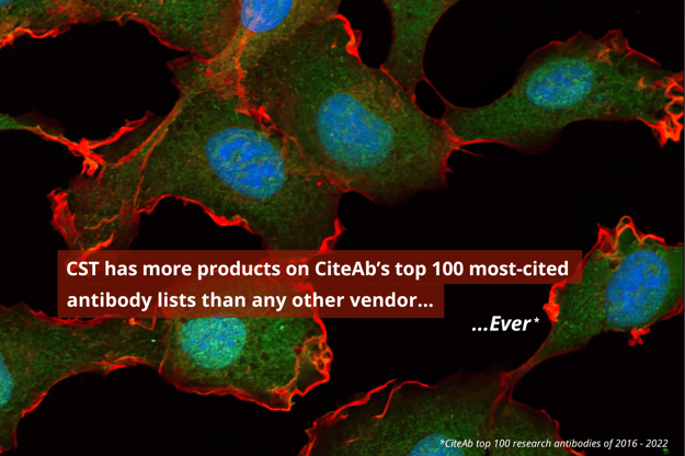 CSTは、CiteAbの最も引用された抗体リスト上位100抗体に、他のどのベンダーよりも多く製品を掲載しています。