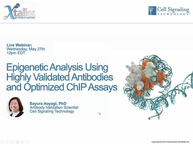 高度に検証された抗体や最適化されたChIPアッセイを使用して、エピジェネティックマークを解析
