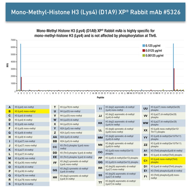 5326-Histone-Modification-Graph.jpg
