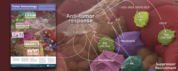 腫瘍免疫学バナーブログ